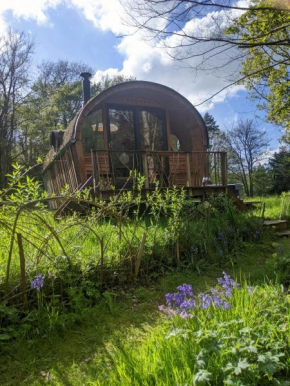 Caban Delor. Off-grid glamping experience. Walking distance into Caernarfon. 20-min drive to Snowdonia or Anglesey.